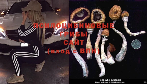герыч Алексин